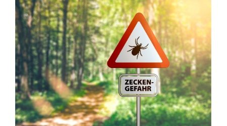 Hinweis auf die Zeckenimpfung gegen Frühsommer-Meningoenzephalitis (FSME)